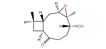 Rumphellolide C